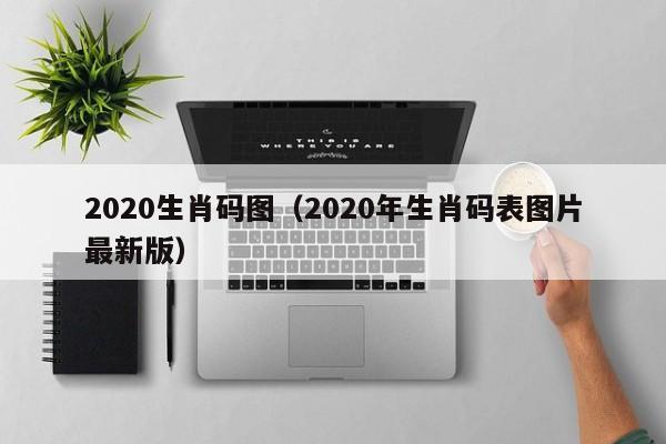 2020生肖码图（2020年生肖码表图片最新版）